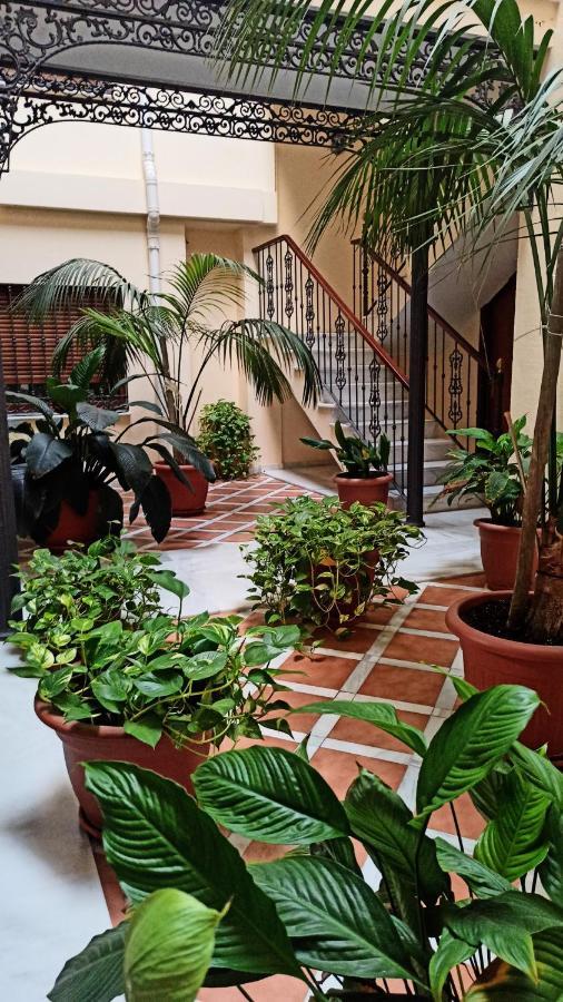 Botanic Suite Málaga Eksteriør billede