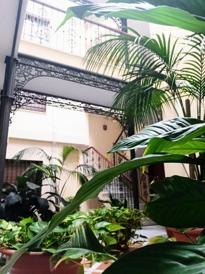 Botanic Suite Málaga Eksteriør billede